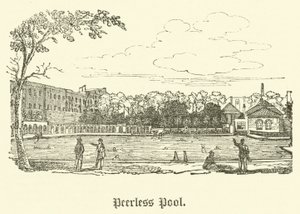 Eşsiz Havuz (gravür) by English School
