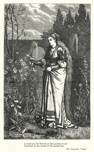 Percy Bysshe Shelley: The Sensitive Plant için illüstrasyon (gravür) by English School