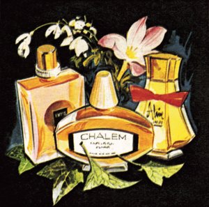 parfümler by English School