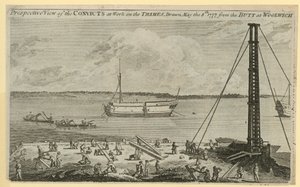 Thames Nehri
