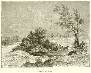haşere evi