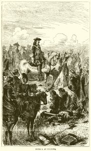Peter I, Pultowa'da by English School