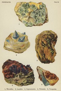 Fosfatlar, wavellite, lazulite, cuprouranite, vivianite, turkuaz (renkli lito) by English School