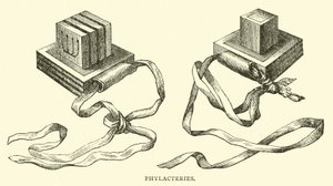 Flakteriler by English School