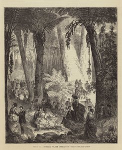 Picnic in Australia to the Officers of the Flying Squadron (engraving) by English School