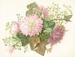 Pembe Çiçekler (Dahlia), Kart by English School