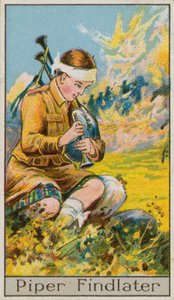 Piper Bulucu by English School