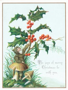 Pixie, Holly
