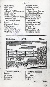 Johann Amos Comenius tarafından yazılan 