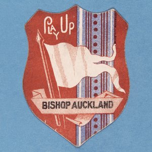 Piskopos Auckland