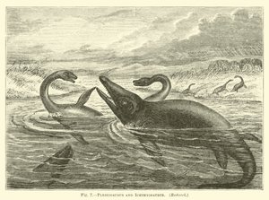 Plesiosaurus ve Ichthyosaurus by English School