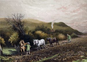 çiftçilik by English School