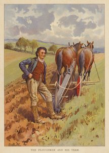 Ploughman ve ekibi (renkli litho) by English School