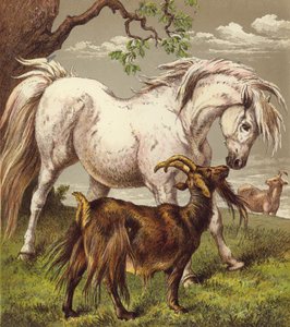 Midilli ve keçiler (renkli litho) by English School