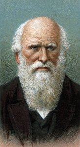 Charles Robert Darwin