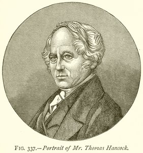 Bay Thomas Hancock