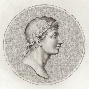 Ovid
