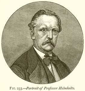 Profesör Helmholtz'un Portresi by English School
