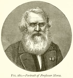 Profesör Morse