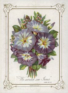 Vecize çiçek by English School
