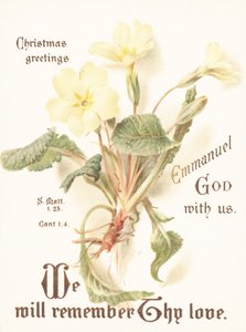 Primroses, Noel Kartı by English School