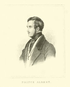 Redingot by English School