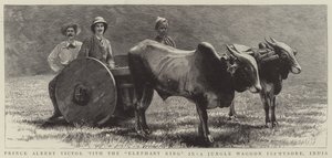 Prens Albert Victor, Hindistan