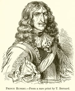 Prens Rupert by English School
