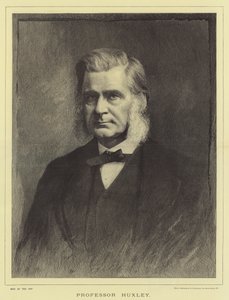 Profesör Huxley (gravür) by English School