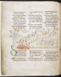 Harley Mezmur#39;dan Mezmur 6, Harley MS 603 f.3v by English School