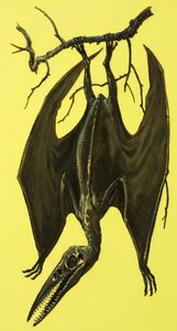 pterodaktilus by English School