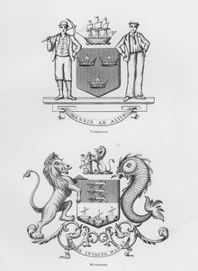 Kamu silahları: Tynemouth; Waterford (gravür) by English School