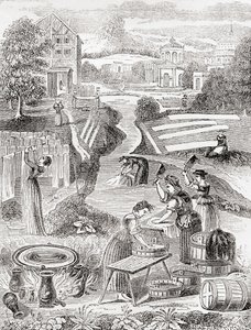 Halka açık yıkama alanları by English School
