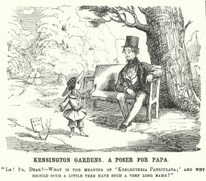 Punch karikatür: Londra Kensington Gardens