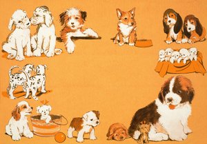 köpek yavrusu by English School