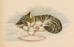 Kedi Kedi (kromolitho) by English School