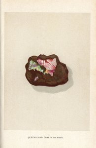 Matriste Queensland opal, Edwin Streeter