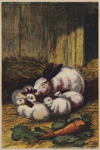 Tavşanlar (renkli lito) by English School