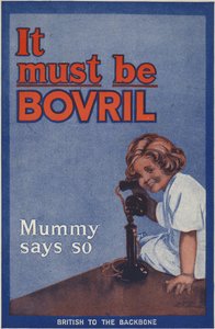 Bovril Handy kitabının arka kapağı ve savaş günlüğü