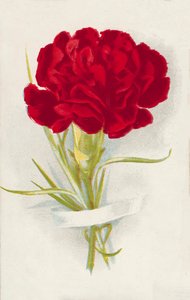 Kırmızı karanfil (chromolitho) by English School