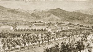 Brigham Young