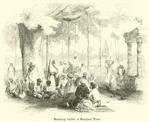 Banyan Ağacının Altında Dinlenmek by English School