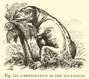 Iguanodon
