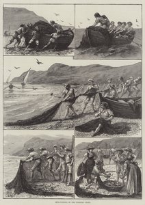 Korsika Kıyısında Yeniden Balık Tutma (gravür) by English School
