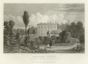 Riffens, Essex, Spencer Phillips