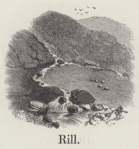Rill (gravür) by English School