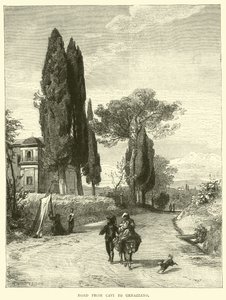 Cavi