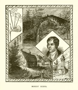 Robert yanıyor by English School