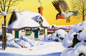 karda uçan robin by English School