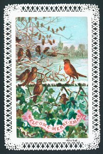 Robin bir dalda şarkı söylüyor, Noel Kartı by English School